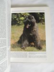 Bruin, Stephe - Nieuwe geïllustreerde honden -encyclopedie. Mijn hond. Mijn vriend. Kynologie, Sport en spel