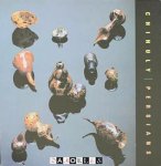 Dale Chihuly - Chihuly Persians