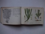 Slooten, A. van. - Kleine plantenatlas. Inleiding tot de kennis der flora van Nederland en daarbuiten.