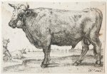 after Paulus Potter (1625-1654) (?) - Ets/etching: The Bull [Set: ‘Series of various Oxen and Cows’] (De Stier).