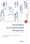  - Social work in an international perspective / Reeks Sociale Wetenschappen - Kruispunten / 2