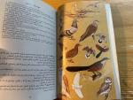 Bruun, Bertil & Sherif Baha el Din - Common Birds of Egypt