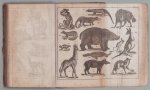 Johann Andreas Christian Loehr ( lohr ) - Naturgeschichte fur Schulen und den hauslichen Unterricht : mit 83 Abb.