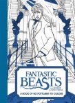 - Fantastic beasts: book of 20 postcards to colour - Fantastic beasts: book of 20 postcards to colour