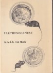 Marle, G.A.J.S. van - Parthenogenese: Proefschrift