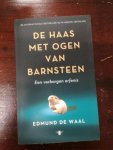 de Waal, Edmund - De haas met ogen van barnsteen / een verborgen erfenis