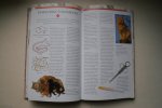 Bruin Stephe; Susie Page - Complete Gids Voor Katten Liefhebbers met meer dan 100 rassen en kleurslagen