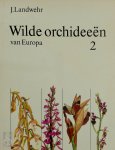 J. Landwehr - Wilde orchideeën van Europa 2