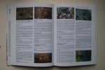 Bruins, Eugene - Geillustreerde Terrarium Encyclopedie reptielen, amfibieen, spinnen, insecten- overzichtelijk per soort gerangschikt  Alles Over VOEDING, HUISVESTING, BEHANDELING, ZIEKTEN, Zelf Kweken