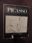 Buchheim, Lothar Gunther - Picasso, een geillustreerde biografi