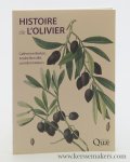 Breton, Catherine / André Bervillé. - Histoire de l'olivier. L'arbre des temps.