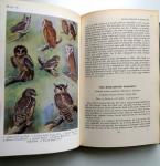 Henry, G.M. - A Guide to the Birds of Ceylon (ENGELSTALIG)