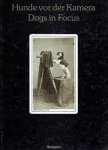 Rainer Wick - Dogs in Focus / Hunde vor der Kamera
