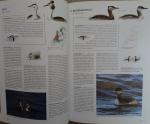 Hoogenstein, Luc, Meesters, G. - Handboek Vogels van Nederland, met medewerking van Vogelbescherming Nederland