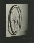 Taylor, Al and Ulrich Loock, Philip Ording - Al Taylor: Rim Jobs and Sideffects