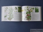 Han Honders et al. (medewerkers) / Reader's Digest. - Reader's Digest. Veldgids voor de natuurliefhebber. Wilde planten van West- en Midden-Europa.