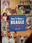 Andrew Vallila - "Guide To Owning A Beagle"