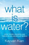 Kayvan Kian - What Is Water?