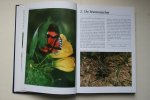 Landman, Wijbren - biologie: VLINDER  ENCYCLOPEDIE