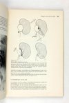 Scholtmeijer Prof.Dr. R.J. - Urologie / verpleegkundige (3 foto's)