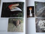 Whitten, T.& J., fotografie G.Cubitt - Ongerept Indonesie, De biologische diversiteit van Indonesie Whitten, T.& J., fotografie G.Cubitt - Ongerept Indonesie, De biologische diversiteit van Indonesie