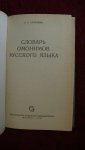 Akhmanova - Slovar' omonimov russkogo jazyka - Russian-English Dictionary