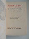 Montagu Violette M. - Sophie Dawes, Queen of Chantilly