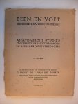 Pront G. en F. van der Torren - BEEN EN VOET~ Beenderen, banden en spieren Anatomische studie's ten gebruike van voetverzorgers Pront G. en F. van der Torren - BEEN EN VOET~ Beenderen, banden en spieren Anatomische studie's ten gebruike van voetverzorgers