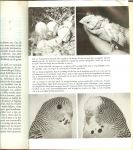 Houtenbos, S. J. en J. P. A. Wilhelm .. Boekverzorging : E. Wijnans - Ik kan vogels houden  .. Met 77 tekeningen tussen tekst,47 illustraties naar foto`s en 24 gekleurde illustraties naar kleurenfoto`s.