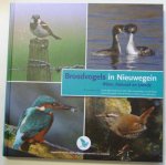 G. Abel - Broedvogels in Nieuwegein