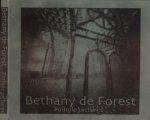 Forest, Bethany de - Pinhole Pictures