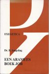 B. Jongeling - Aramees boek job
