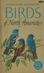 Chandler S. Robbins , Bertel Bruun 16560, Herbert Spencer Zim 221512 - Birds of North America A Guide to Field Identification