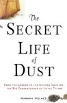 Hannah Holmes - The Secret Life of Dust