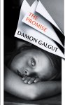 Damon Galgut 44996 - Promise