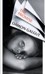 Damon Galgut - Promise