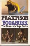 Devananda - Yogaboek praktisch