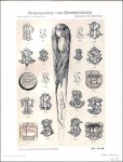 Wilhelm Diebener. - Monogrammes et decorations a l'usage des graveurs de montres et de metaux precieux comme des metiers qui s'y rattachent.