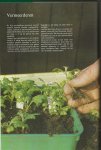 Wegman, Frans W & Theo Benschop met K.A. van den Hoek - Bloeiende kamerplanten .. Zeer rijk geillustreerd een boek om uren in te grasduinen