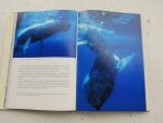 Cousteau Jacques-Yves, Diole Philippe - De Walvis - Machtige monarch der wereldzeeen