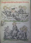 Schroth, Ingeborg; Beckmann, Josef Hermann - Picture Bible of the Late Middle Ages