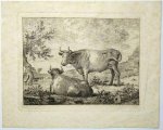 NIJMEGEN, GERARD VAN, - Two cows in a field