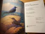 Bannerman. D - Birds of the Maltese Archipelago