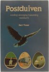 Bert Visser - Postduiven