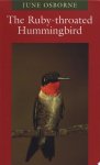 June Osborne - The Ruby-throated Hummingbird