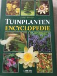Noordhuis, Klaas T., Leegsma, G. - Tuinplanten encyclopedie