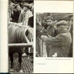 Lijsen H.J .. Met meer dan 100 tekeningen van Rob Krom en 21 foto's met een voorwoord door Dr.H.J. Weekenstroo - Paardenkennis .. Het skelet,het exterieur, het hoofd en de hals, de schoft, de rug, de staart,de voorborst.de ribben, flanken en de buik, de koker en de kling