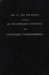 Reijden, Joh. W. van der - De wonderlijke leidingen