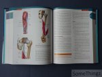 Peter Brukner, Ben Clarsen, Jill Cook, Ann Cools, Kay Crossley, Mark Hutchinson, Paul McCrory, Roald Bahr, Karim Khan. - Brukner & Khan's Clinical Sports Medicine: Injuries, Vol. 1. Peter Brukner, Ben Clarsen, Jill Cook, Ann Cools, Kay Crossley, Mark Hutchinson, Paul McCrory, Roald Bahr, Karim Khan. - Brukner & Khan's Clinical Sports Medicine: Injuries, Vol. 1.