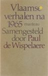 Paul de Wispelaere - Vlaamse verhalen na 1965